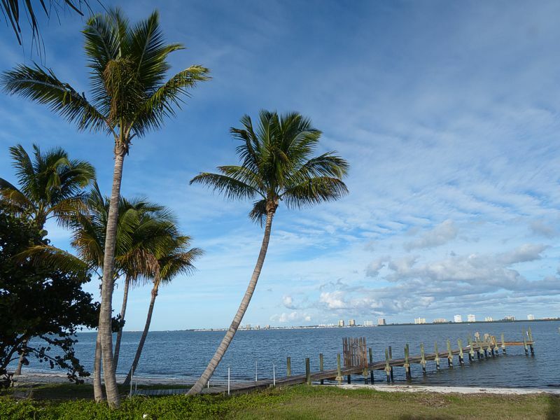 Click to See Next Image